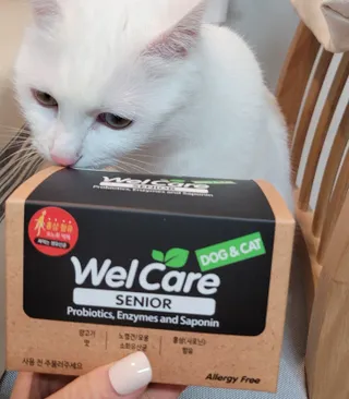 대박이님이 올린 리뷰 사진 1
