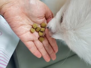 정꾸꾸님이 올린 리뷰 사진 2