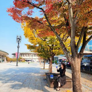 엘라유님이 올린 리뷰 사진 3