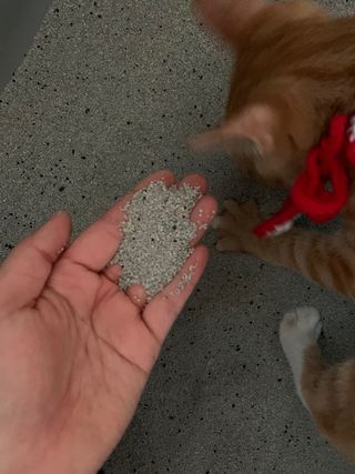 olhh님이 올린 리뷰 사진 2