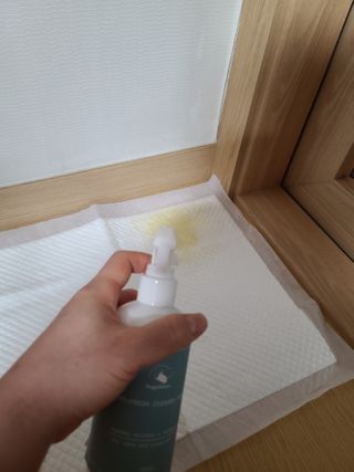 다솜이마마님이 올린 리뷰 사진 3