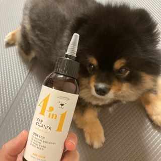 정아님이 올린 리뷰 사진 1