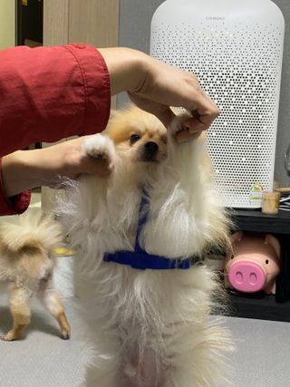 눕히님이 올린 리뷰 사진 4
