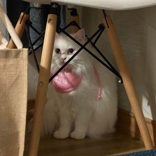 ㄹ진님이 올린 리뷰 사진 3