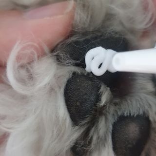 [자유펫] 시코니딘 고양이 강아지 피부 보습 연고 20g — 5점을 준 리뷰어가 2021년 11월 올린 사용 사진