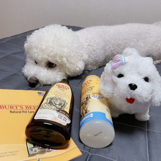 융투님이 올린 리뷰 사진 4
