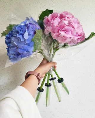 YunmiKim님이 올린 리뷰 사진 4