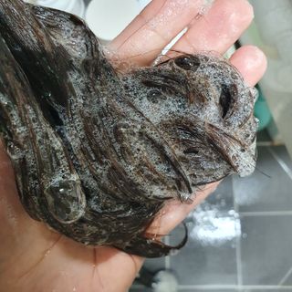 아코맘님이 올린 리뷰 사진 3