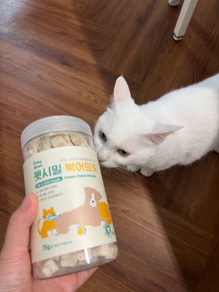 [펫시밀] 원물그대로 영양듬뿍 진공동결건조 북어트릿75g,치킨트릿100g,연어트릿75g 강아지 고양이 간식 — 5점을 준 리뷰어가 2023년 6월 올린 사용 사진