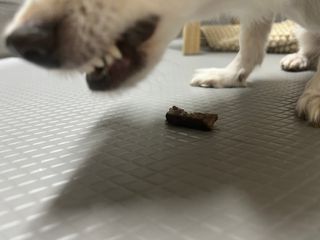 뀨류꾸루사사님이 올린 리뷰 사진 3