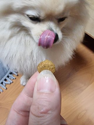레오포포님이 올린 리뷰 사진 4