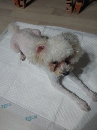 햇님달님님이 올린 리뷰 사진 4