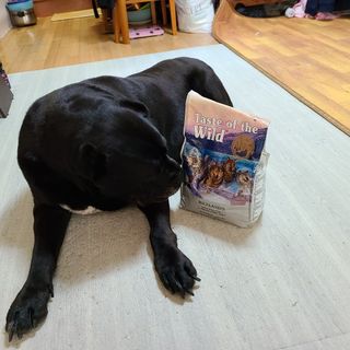 기린짱맘님이 올린 리뷰 사진 1
