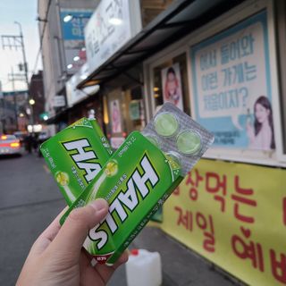 엘보리님이 올린 리뷰 사진 4