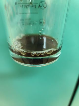 프리마인 자체 기업부설 연구소에서 찾아낸 건강한 수면의 비밀.  슬립토 플러스 30포 — 5점을 준 리뷰어가 2021년 12월 올린 사용 사진