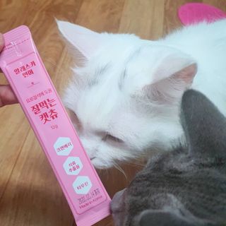 페페로니 잘 먹는 캣츄 - 알래스카 연어 24개입 — 5점을 준 리뷰어가 2021년 7월 올린 사용 사진