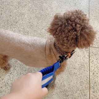 프롬님이 올린 리뷰 사진 2