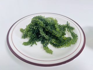 [피터씨마켓] 바다포도 100g(20g x 5봉) 우미부도 그린캐비어 ASMR 소분포장 — 5점을 준 리뷰어가 2024년 8월 올린 사용 사진