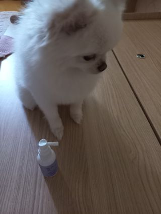 희야님이 올린 리뷰 사진 3