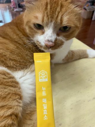 조이님이 올린 리뷰 사진 1