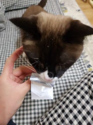 잇슈님이 올린 리뷰 사진 4