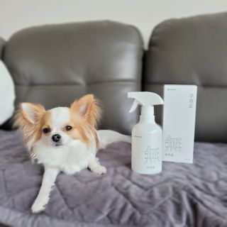 달슈님이 올린 리뷰 사진 1