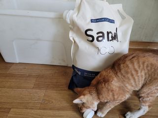 정후맘님이 올린 리뷰 사진 1