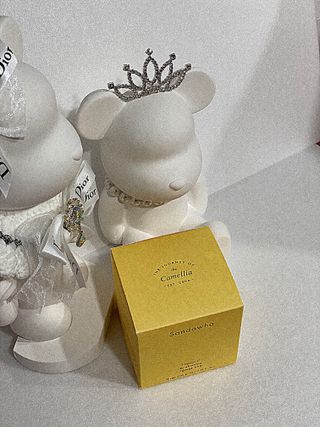 산다화 비타민씨 화이트닝 토너 패드 — 5점을 준 리뷰어가 2023년 9월 올린 사용 사진