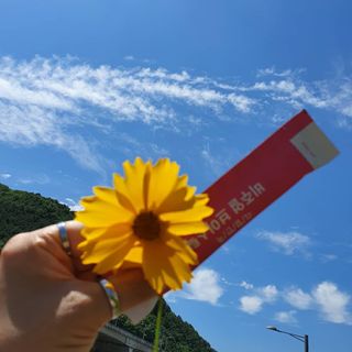필리브 비주얼 브이스틱 — 5점을 준 리뷰어가 2021년 6월 올린 사용 사진