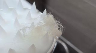choiyeji님이 올린 리뷰 사진 3