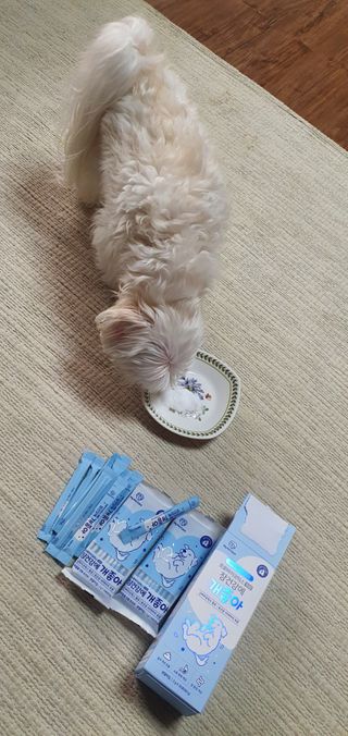 My Pet Care 장건강에 개좋아 — 5점을 준 리뷰어가 2021년 2월 올린 사용 사진