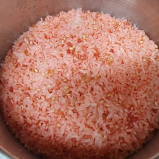 하나로라이스 바로짓는 혼합백미 여주쌀 2kg 3종 택1 — 5점을 준 리뷰어가 2022년 4월 올린 사용 사진