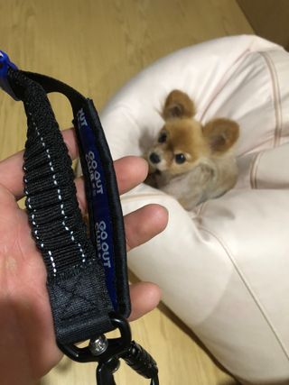 다솜다빈이아빠님이 올린 리뷰 사진 3