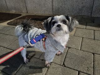 E_jinsang_mom님이 올린 리뷰 사진 1