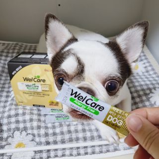 mini unni님이 올린 리뷰 사진 2