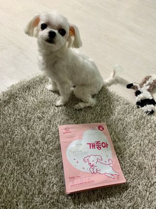 My Pet Care 천연단백질 관절건강에 개좋아 — 5점을 준 리뷰어가 2021년 2월 올린 사용 사진