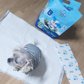 그늘이님이 올린 리뷰 사진 4