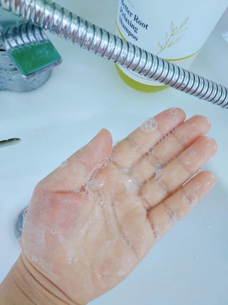 달리프 클로렐라 베러 루트 릴렉싱 샴푸 500ml — 4.5점을 준 리뷰어가 2021년 5월 올린 사용 사진