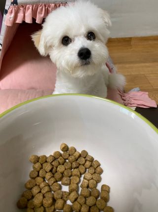 징쥬님이 올린 리뷰 사진 3