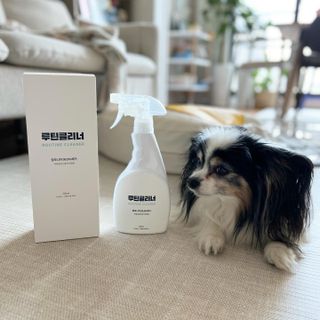 HaejinSeung님이 올린 리뷰 사진 1