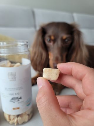 부르르펫 야미트릿 틸라피아 60g — 5점을 준 리뷰어가 2021년 10월 올린 사용 사진