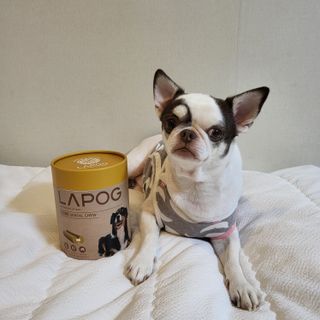 mini unni님이 올린 리뷰 사진 1