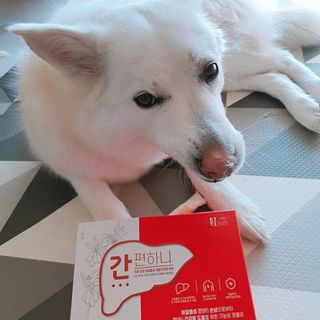 이지헬스 간편하니 [1개월 분  60정] — 4점을 준 리뷰어가 2021년 1월 올린 사용 사진
