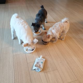 보미누나님이 올린 리뷰 사진 1