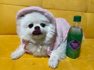 몽베스트 Montbest with Sparkling water Plain 20병 — 5점을 준 리뷰어가 2021년 11월 올린 사용 사진