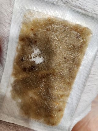 다다름님이 올린 리뷰 사진 2