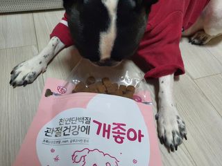 My Pet Care 천연단백질 관절건강에 개좋아 — 5점을 준 리뷰어가 2021년 2월 올린 사용 사진