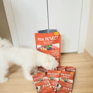 [푸디웜] 라포그  리얼인섹트 관절 저알러지 강아지 사료  1.2KG — 5점을 준 리뷰어가 2022년 8월 올린 사용 사진