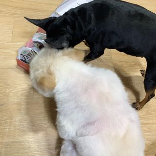 사랑킴님이 올린 리뷰 사진 4