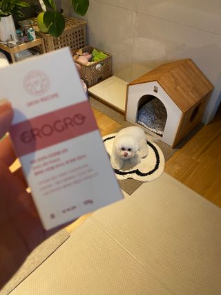 펫21 그로그로 5종 강아지 고양이 반려동물 한방 영양제 — 5점을 준 리뷰어가 2021년 11월 올린 사용 사진